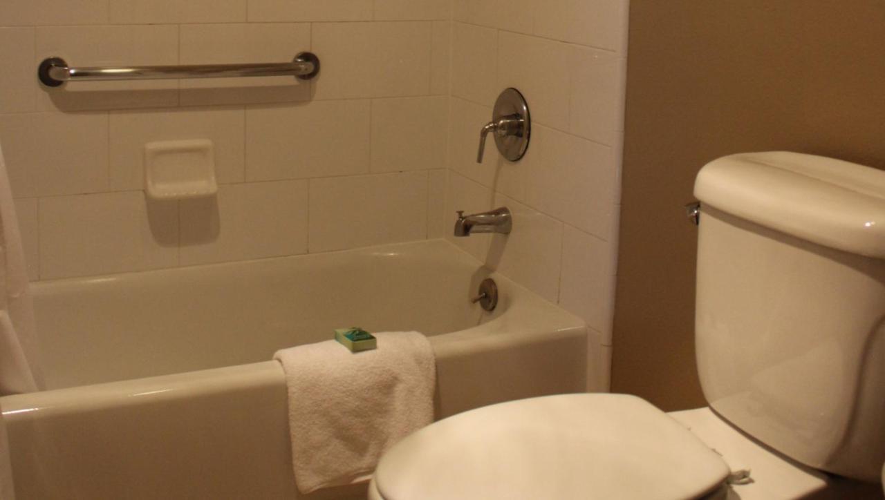 The Zen 3* Palo Alto