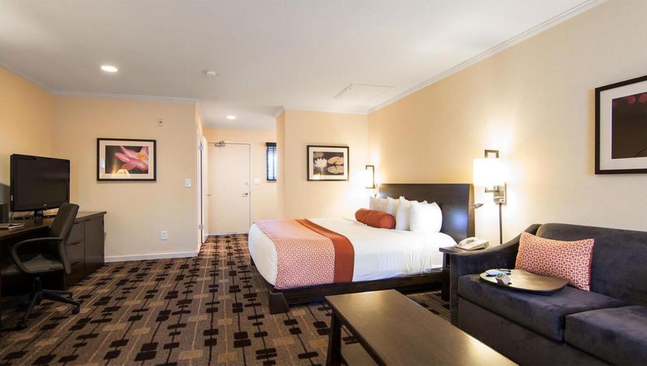 The Zen Hotel 3*