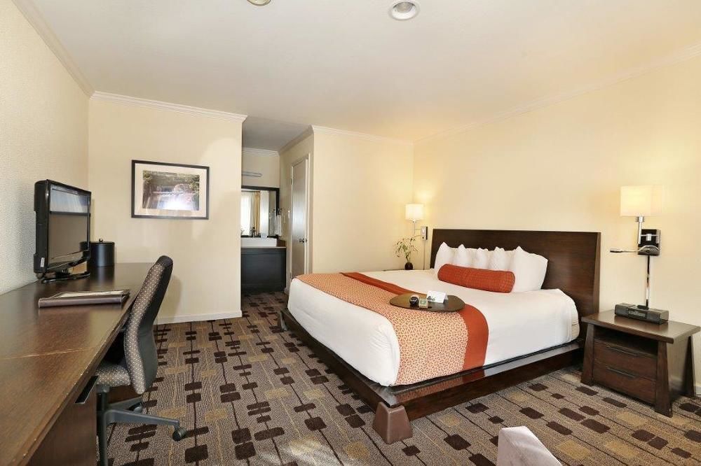 The Zen 3* Palo Alto