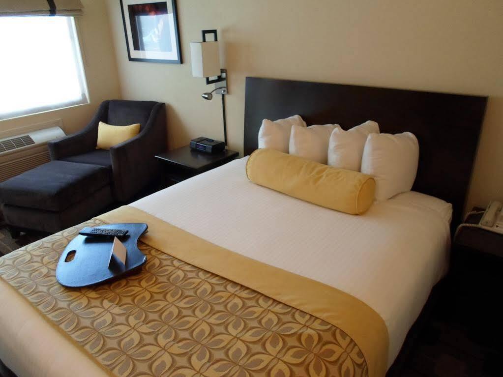 The Zen 3* Palo Alto